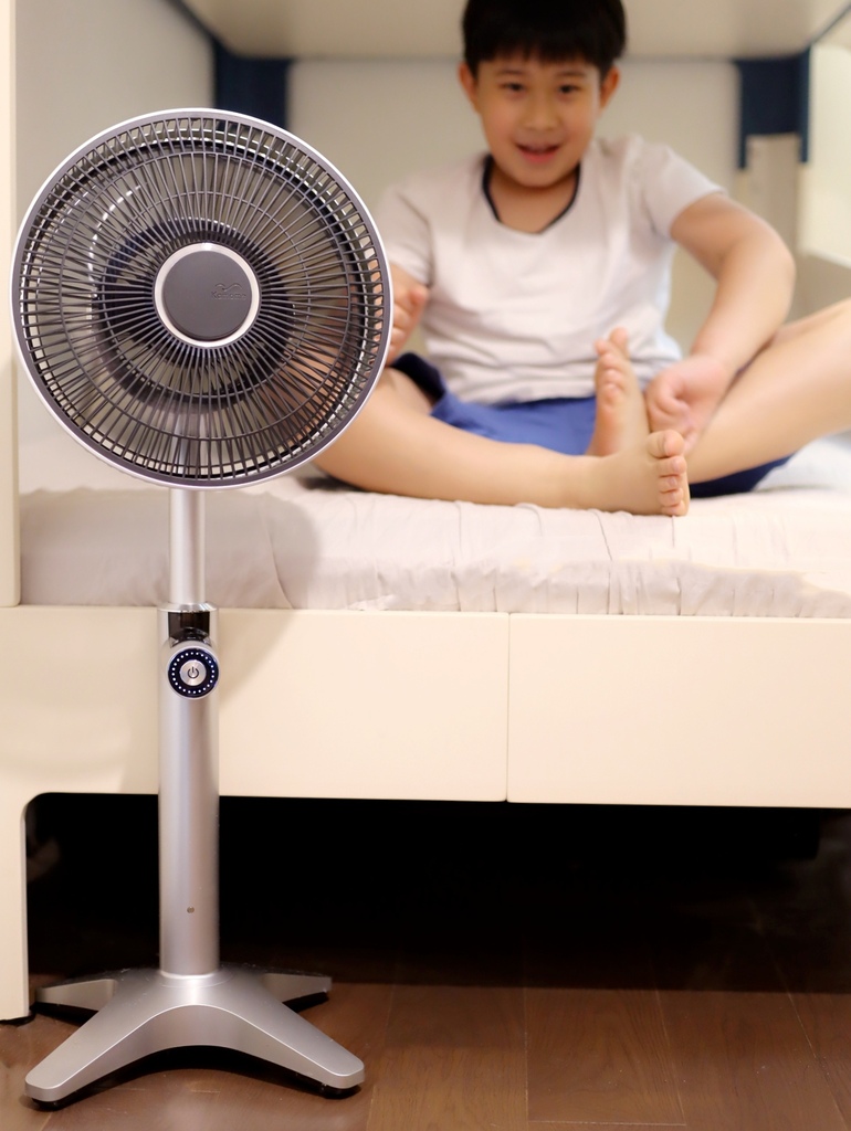 像家人般存在的風扇【日本 KamomeFan】海鷗羽翼扇葉.