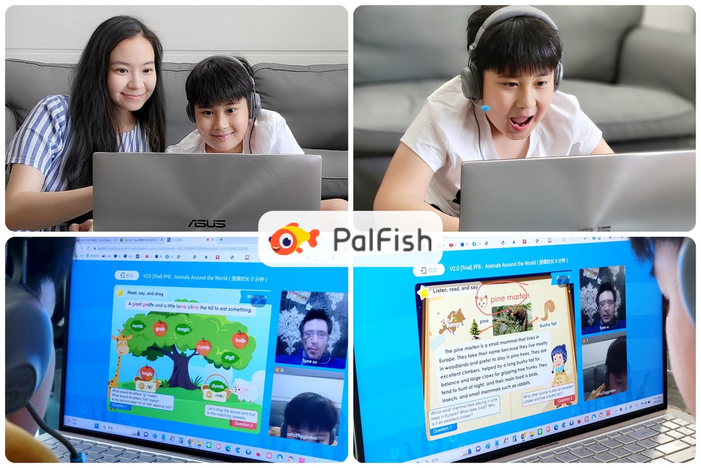 PalFish Class 線上英文課.jpg PalFish Class 線上英文課.jpg