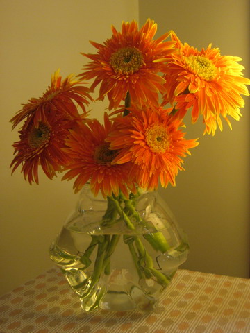 flower1.jpg flower1.jpg