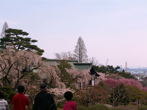 神社居高臨下，可俯瞰日本三景之一的「松島灣」。