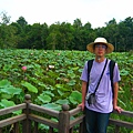 荷花池畔的東南亞農夫