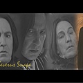 snape3