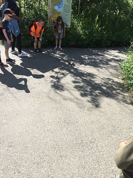 IMG_6498.JPG IMG_6498.JPG