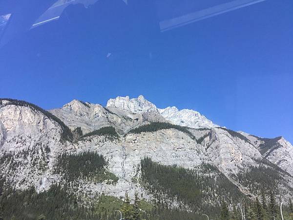 IMG_6984.JPG IMG_6984.JPG