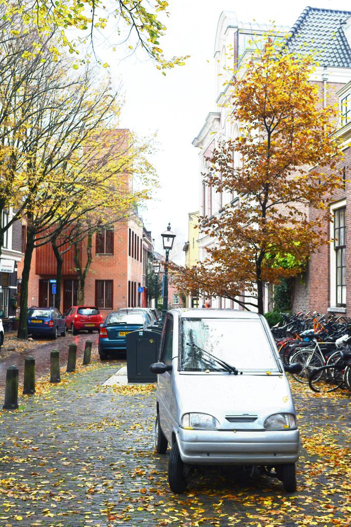 秋天。Haarlem