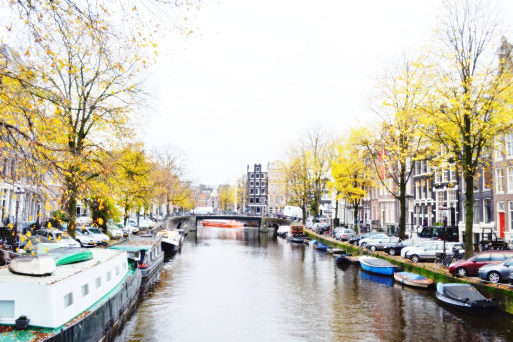 阿姆斯特丹。秋天