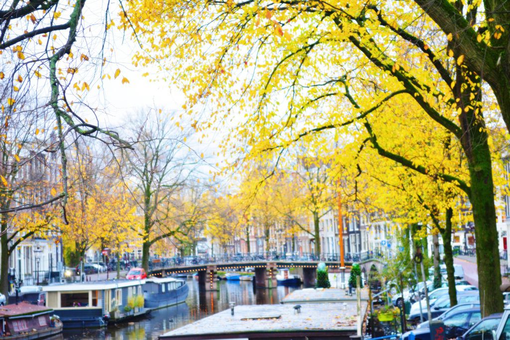 阿姆斯特丹。秋天