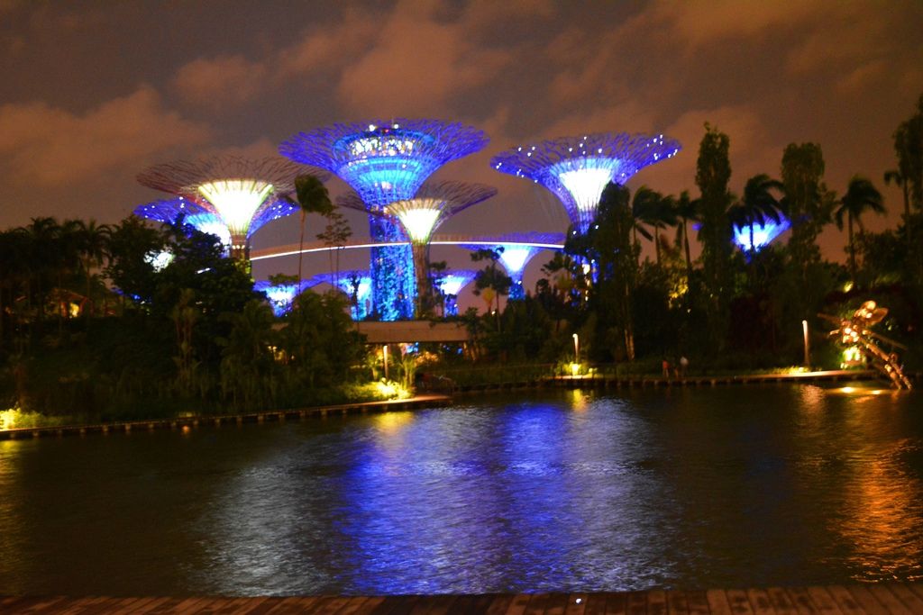 Marina Bay Sand 夜景