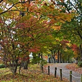 梅小路公園