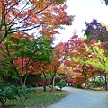 梅小路公園