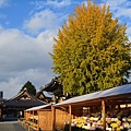 西本願寺