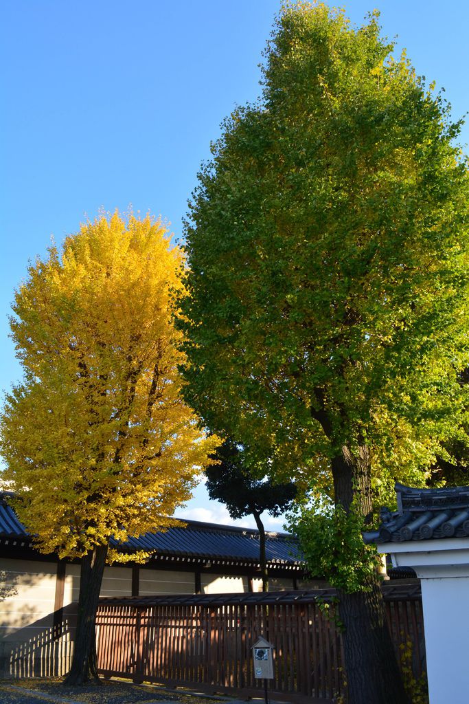 西本願寺