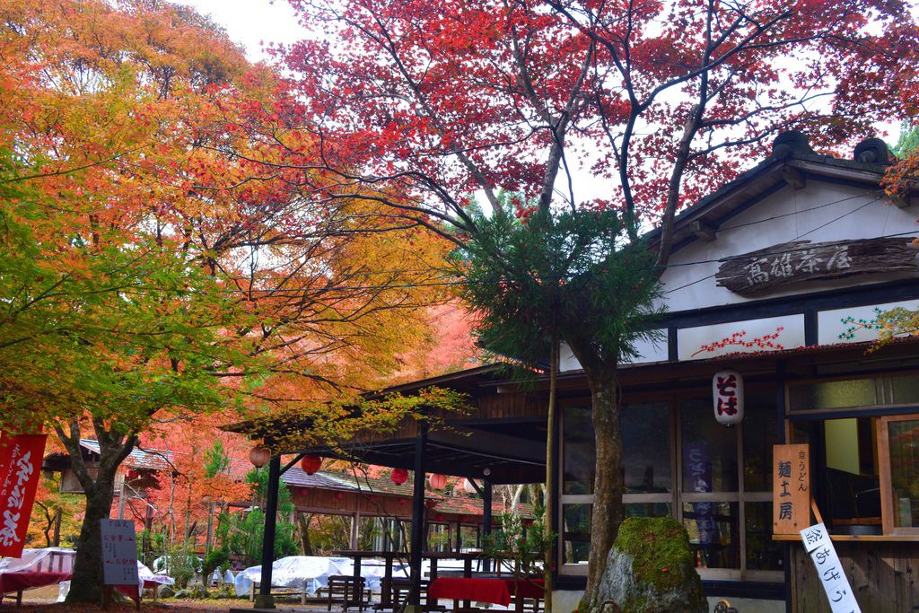 神護寺．高雄茶屋