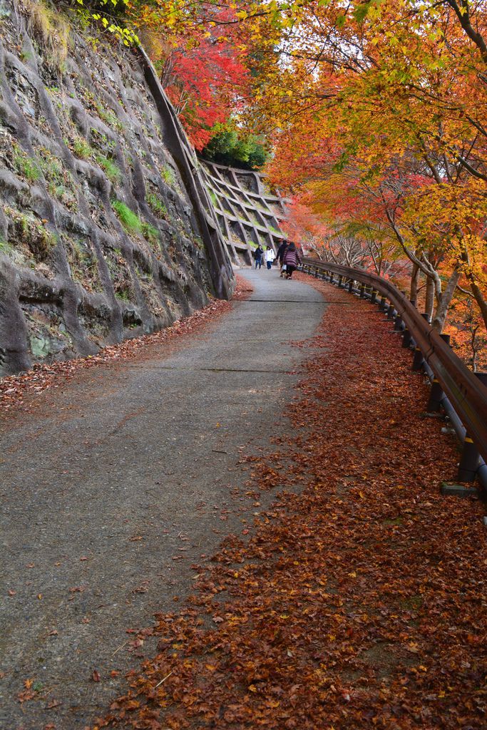 西明寺