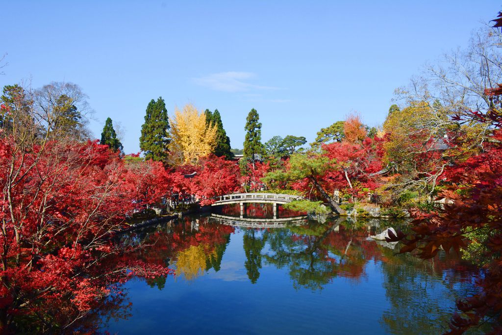 京都永觀堂