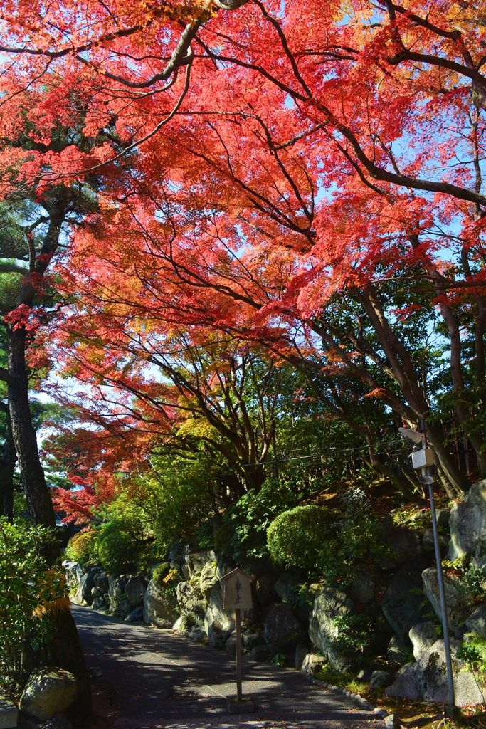 永觀堂往京都御院