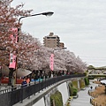 東京 隅田川 