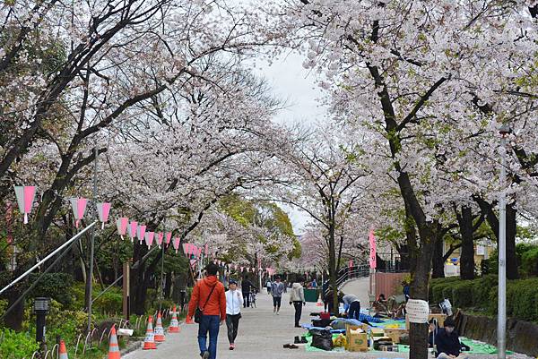 東京 隅田川 