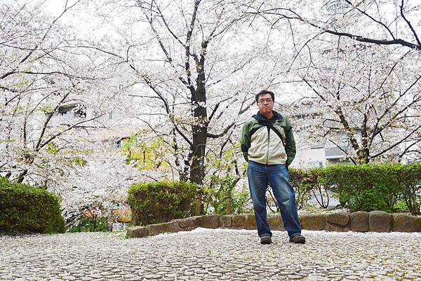 隅田公園的自拍