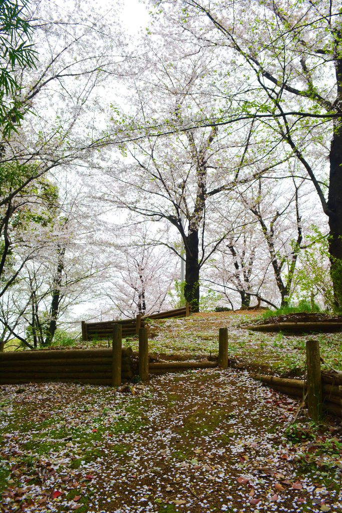 隅田公園