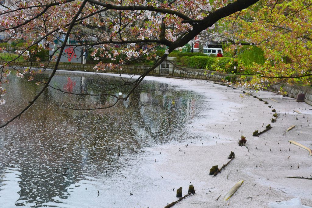 上野公園　不忍池