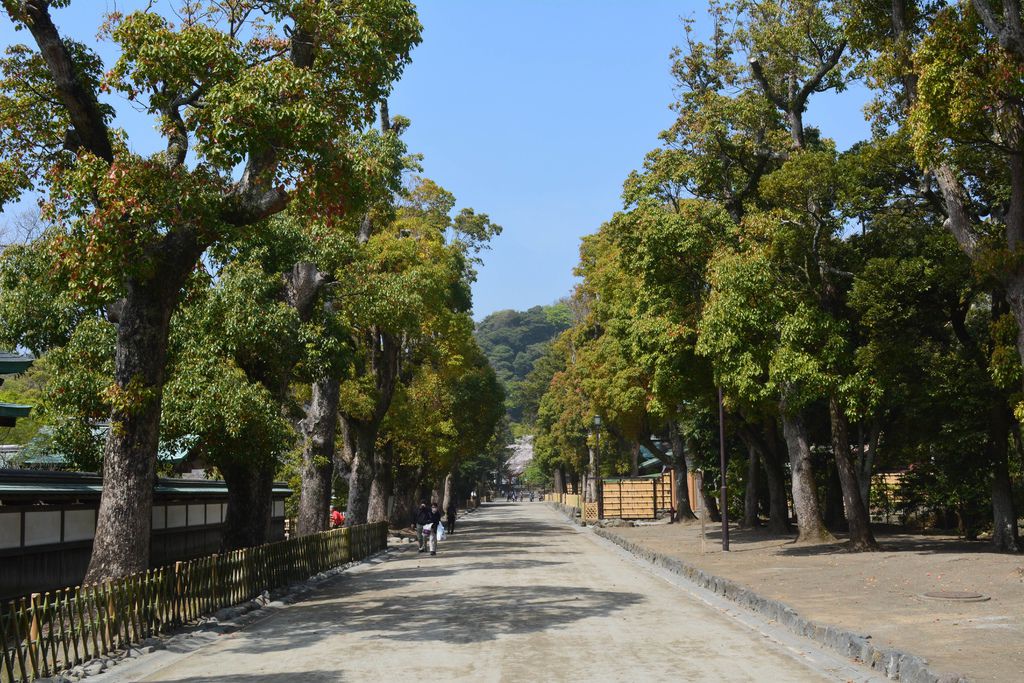 鶴岡八幡宮