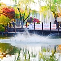 首爾大學．秋天的噴泉