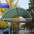 首爾大學。落星岱路