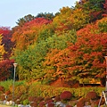 落星岱公園