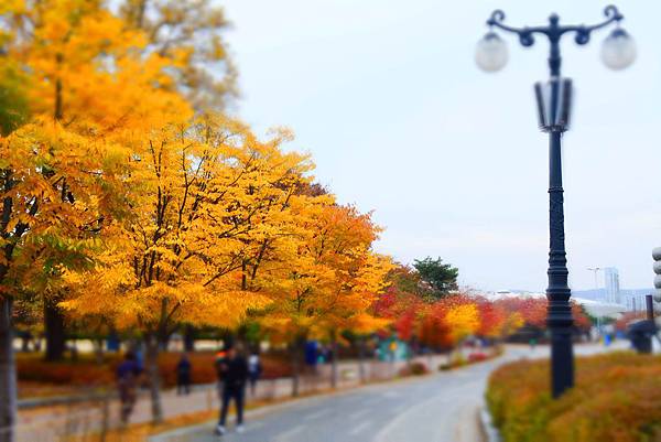 奧林匹克公園