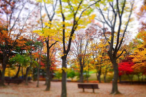 奧林匹克公園