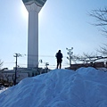 五陵郭公園