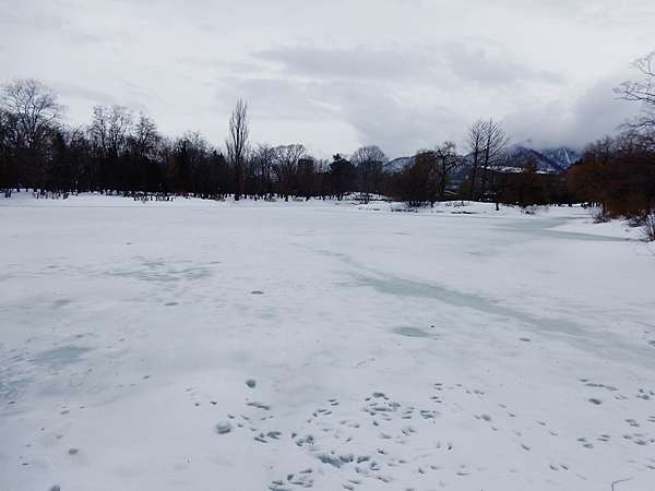中島公園 冬天真沒什麼看頭 偉哥的部落格 痞客邦