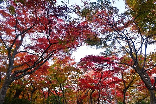 箱根美術館