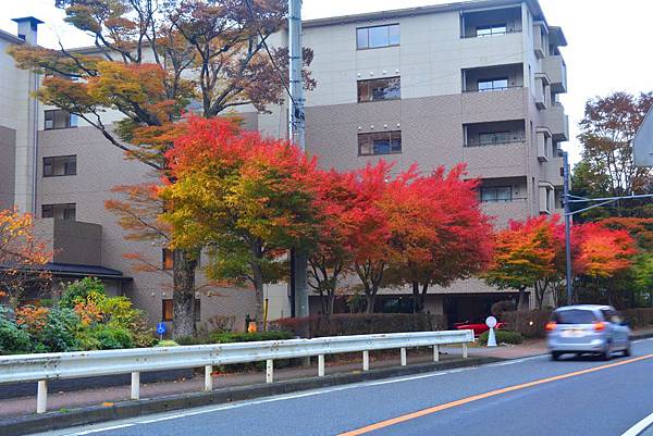 箱根仙石原