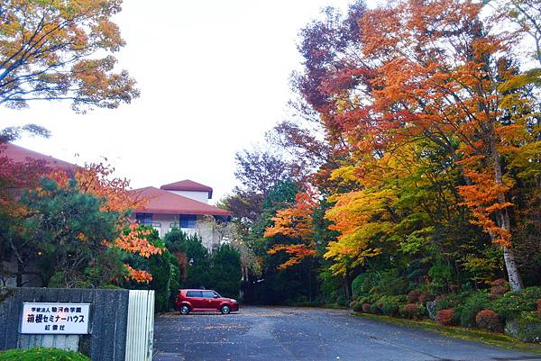 箱根仙石原