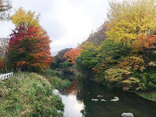 箱根仙石原