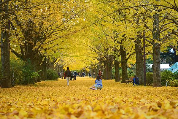 國營昭和紀念公園