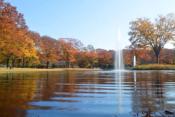 代代木公園