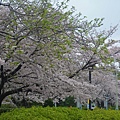 天王寺附近公園