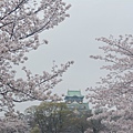 大阪城公園