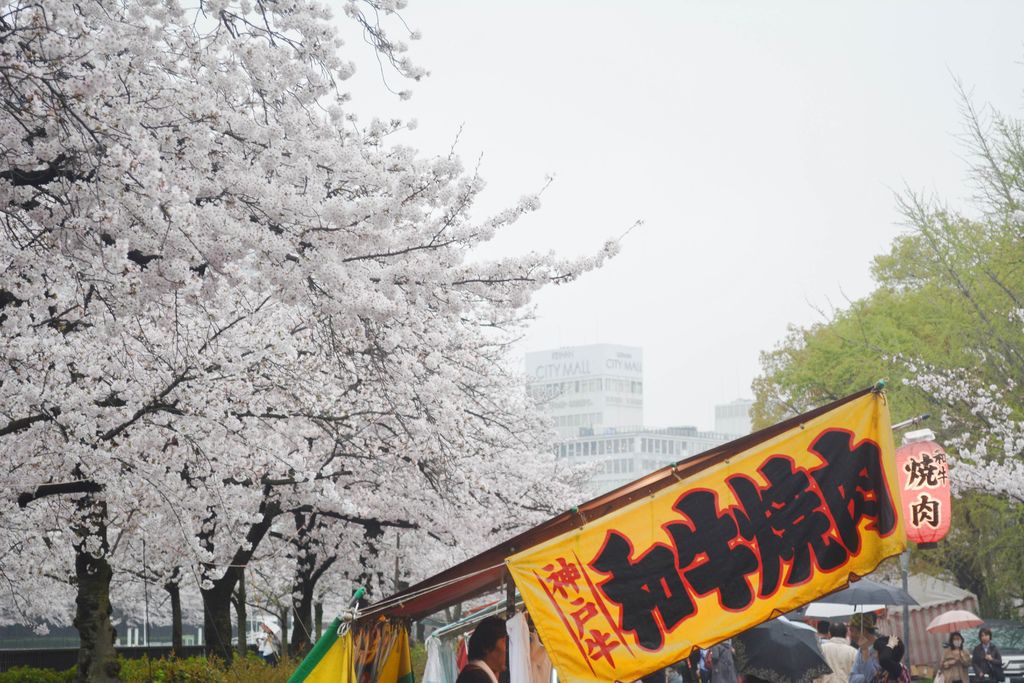 DSC_0098.JPG DSC_0098.JPG