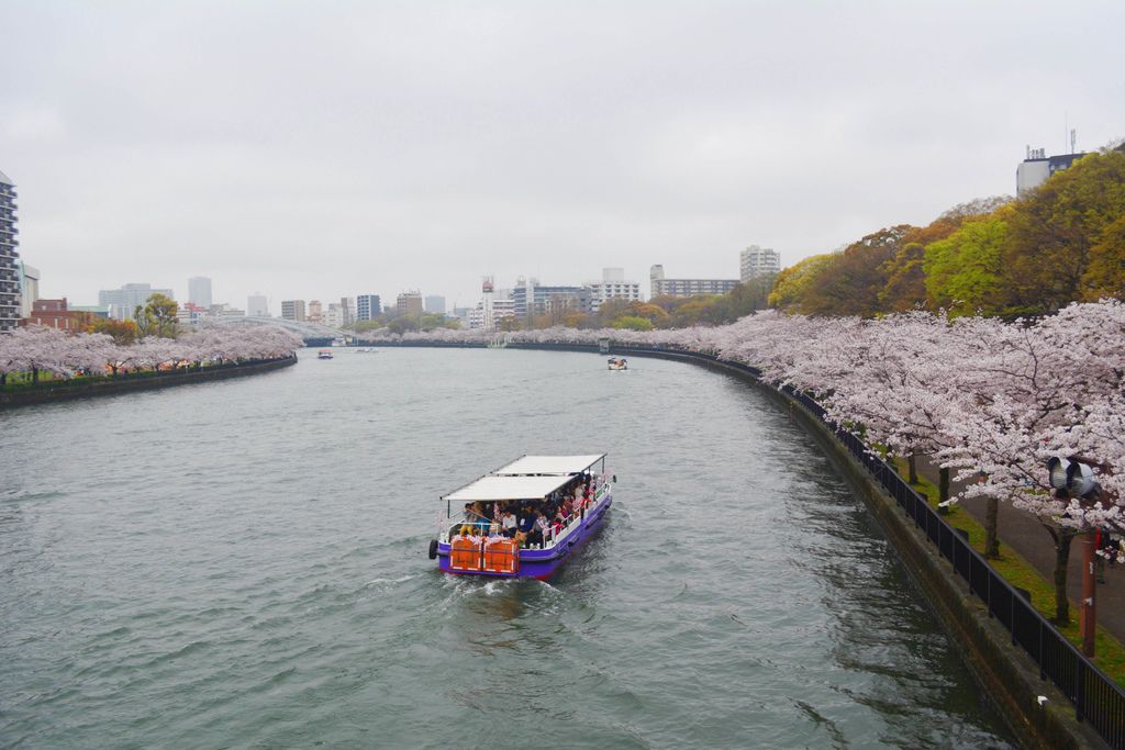 DSC_0086.JPG DSC_0086.JPG