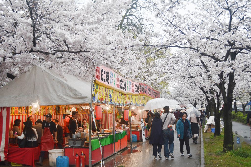 DSC_0114.JPG DSC_0114.JPG