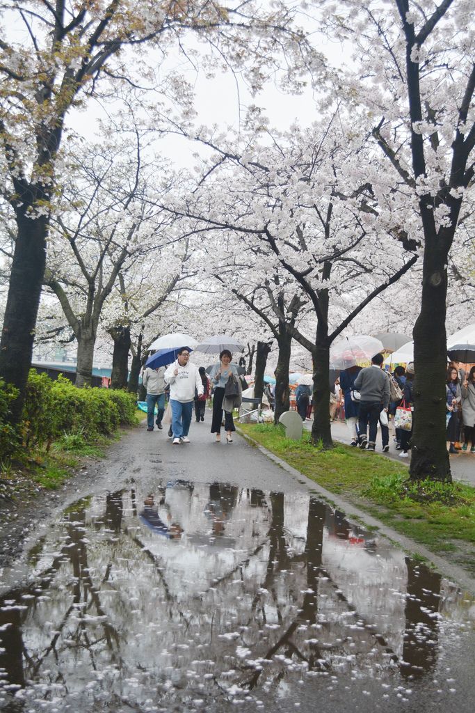 DSC_0112.JPG DSC_0112.JPG