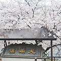 毛馬櫻之宮公園