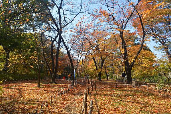 小諸 懷古園