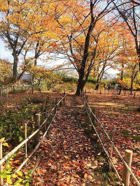 小諸 懷古園