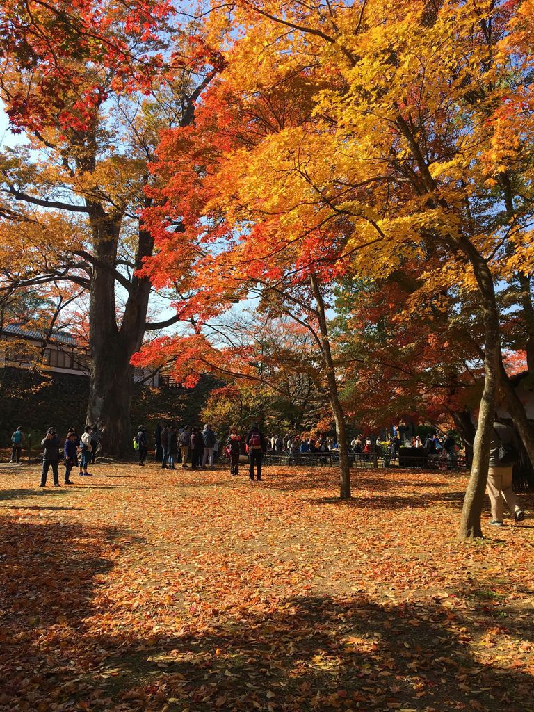 相片 2017-11-5 上午9 45 21.jpg