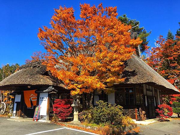 河口湖 不動茶屋